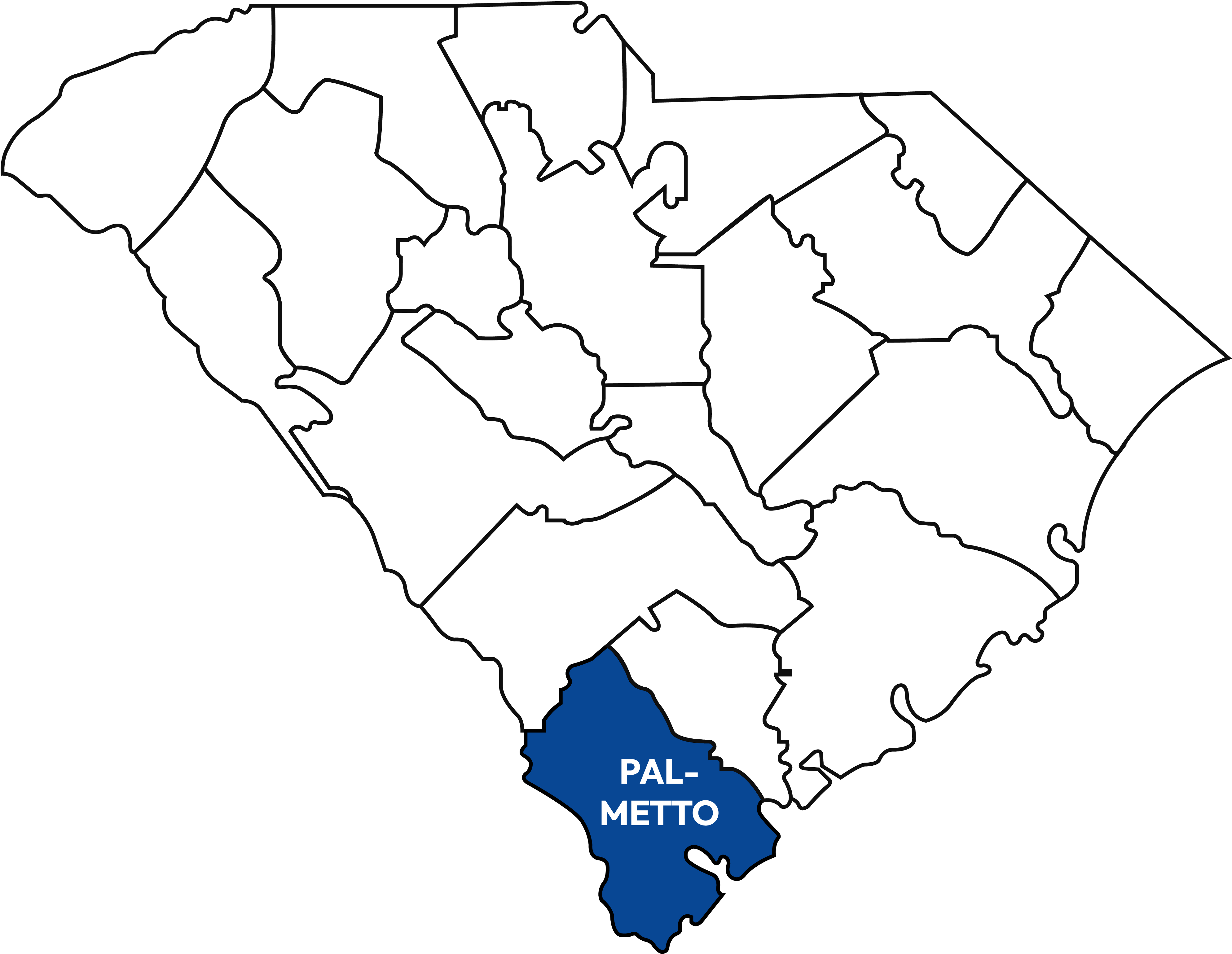 Palmetto-M@4x